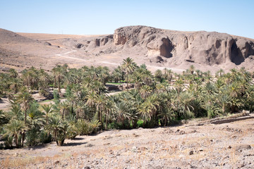 Oasis de Fint, Ouarzazate, Maroc