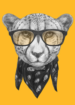 Portrait of Cheetah with glasses and scarf. Hand-drawn illustration.