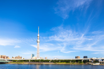 Fototapeta na wymiar tokyo tower in blue sky