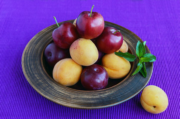 Ripe plums (variety: "Greengage") and apricots in a clay bowl on a bright purple background