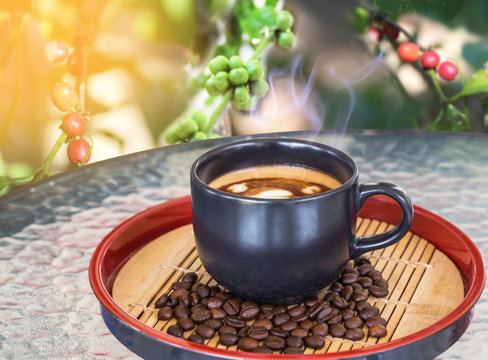 hot coffee cup with  steam on table and coffee tree background 