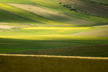 Castelluccio di Norcia