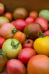 many colorful tomatoes with different sizes background
