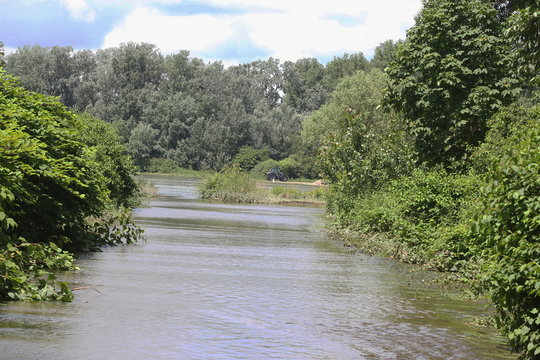 Hochwasser am Rhein, Überschwemmung