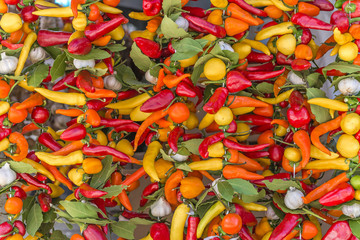 Backdrop of spicy peppers, garlic and bauleafs