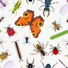 Garden insects seamless pattern. lady beetle and dragonfly, Lucanus cervus and wasp or bee, coccinellidae or ladybug, araneus orb spider and grasshopper, larvae and stag beetle, moth and bumblebee