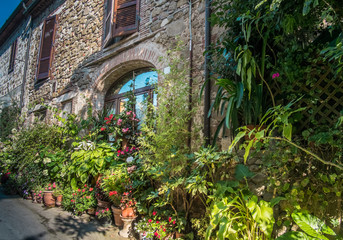 Fototapeta premium House and garden in Montemerano, Tuscany