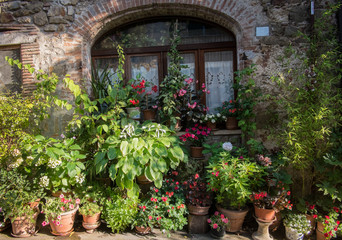 Fototapeta na wymiar House and plants in Montemerano, Tuscany