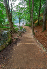 Forest Road In the Forest Plitvice Croatia.