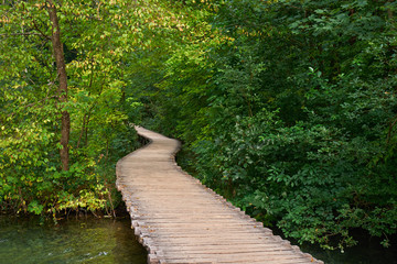 Forest Road Trail in Plitvice, Croatia