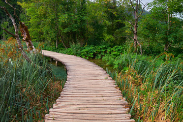 Obraz premium Wooden Trail in Plitvice, Croatia