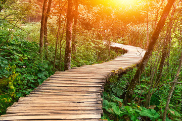 Wooden Trail in Plitvice, Croatia