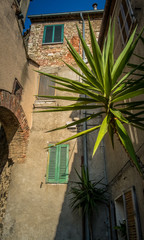 House and plant at sunset in Montemerano, Tuscany - 118055019