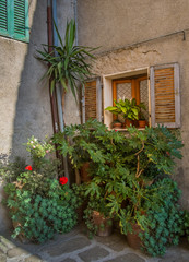 House and plants at sunset in Montemerano, Tuscany - 118055219