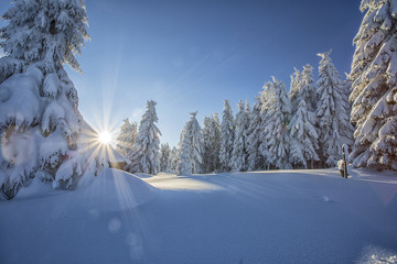 Winter
