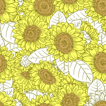 Vector seamless pattern with line art colorful sunflowers