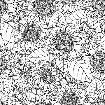 Vector doodle black and white seamless pattern with sunflowers
