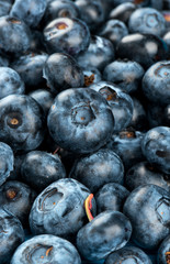 Background fresh blueberries
