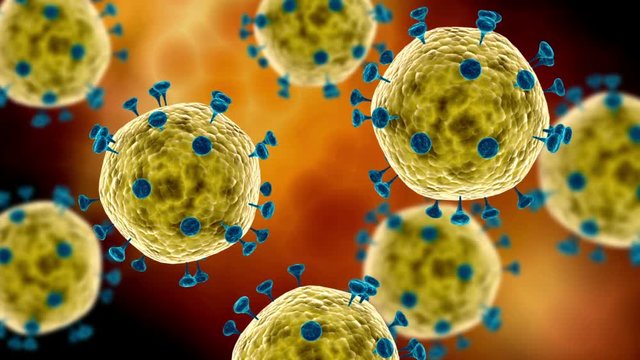 Microscopic visualization of the coronavirus.