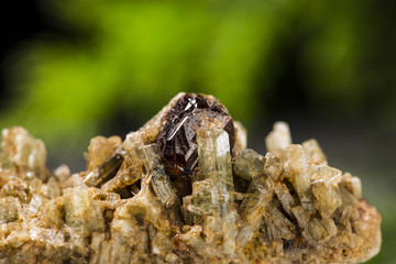 Garnet Detay