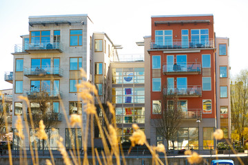 A view from the high grass on the modern building