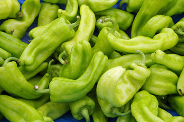 Bright green chili peppers for market displayed on light blue