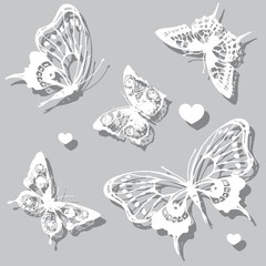 Fototapeta na wymiar beautiful white butterflies,on a grey