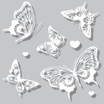 beautiful white butterflies,on a grey