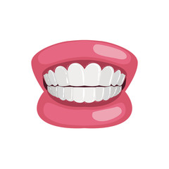 Naklejka premium Demonstration Jaw And Teeth Prop
