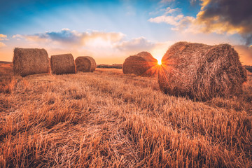 Sunrise over a field of hay bales. © dil_ko