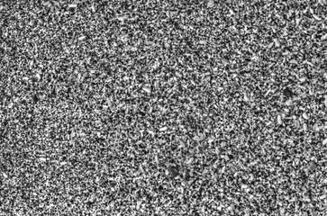 Shells background in black and white