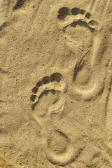 imprint of man's foot on the sand on the beach
