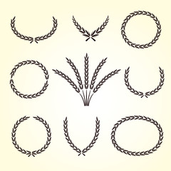 Ears of wheat and rye set. Vector