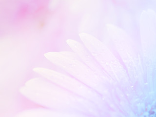 Naklejka premium Flower background 42