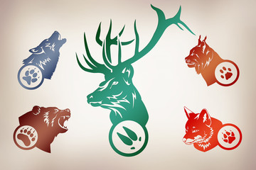 Иллюстрация по следам животных. Волк, Медведь, Рысь, Лиса, Олень.