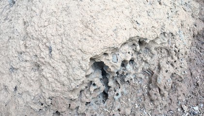 anthill born from soil