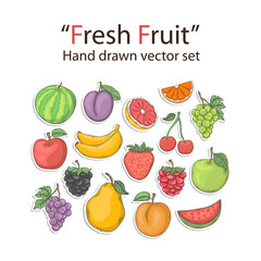 Fruit set isolated on a white background in doodle style