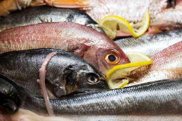 Fresh Fish and seafood with lemon