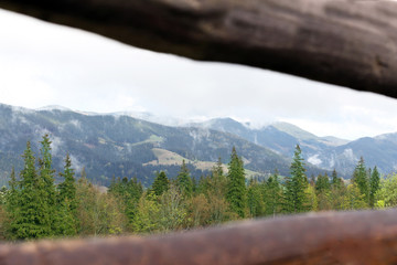 Summer forest on mountain slopes