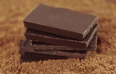 Chocolate pieces on cocoa powder background