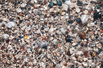 stones on beach and sea water