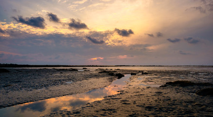 Fototapeta premium Colourful sunrise and stream in low tide ocean water