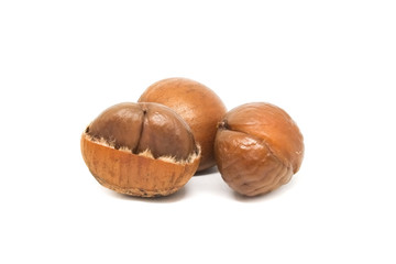 Castanea crenata , Japanese chestnut in white background.