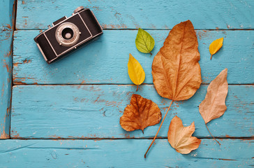 Autumn background with dry leaves and old camera
