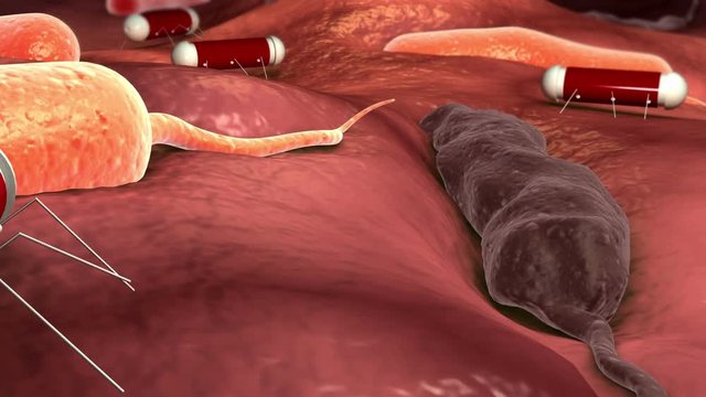 Nanobots attacking cholera virus,