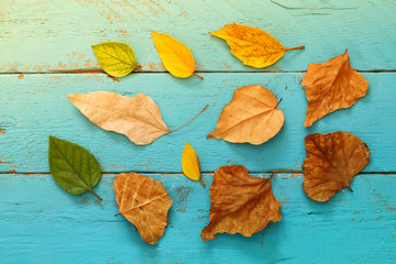 Autumn background with dry leaves on wooden table.