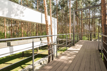 Boardwalk in the forest