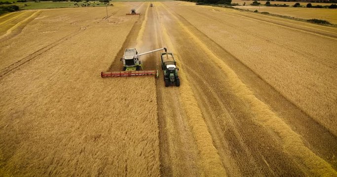 Aerial view flying over the top of a combine harvester and tractor and trailer as it empties the corn in a field on a summers day