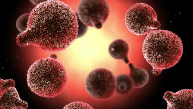 Microscopic visualization of plasmodium.