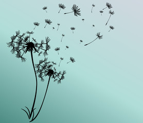 abstract card with dandelions vector background - 118075800
